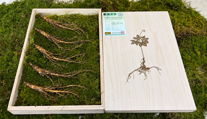 8 Years Korean Premium Wild-Cultivated Ginseng — 5 Roots