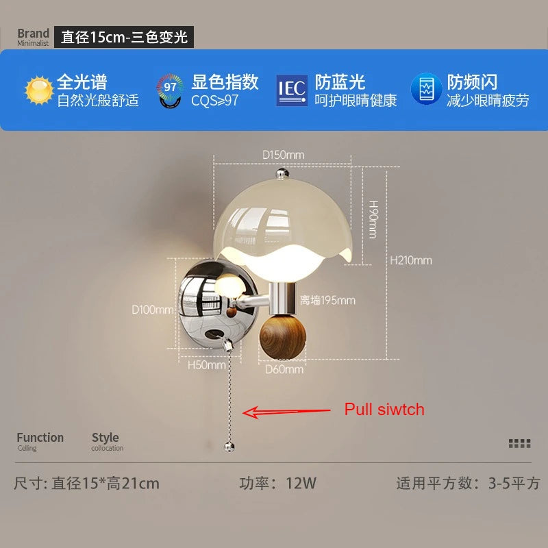 Full Spectrum Eggshell Wall Lamp