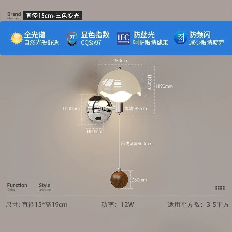 Full Spectrum Eggshell Wall Lamp